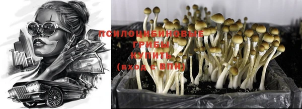 каннабис Корсаков