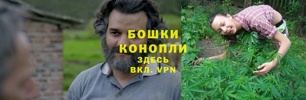 прущий лед Костерёво